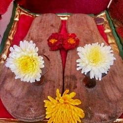 प. प. स्वामी अद्वितीयानंद सरस्वती महाराज पादुका 