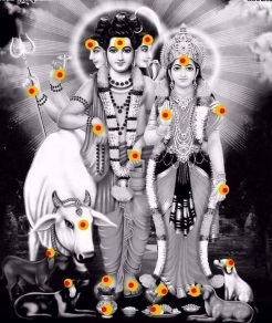 anagha lakshmi vrat