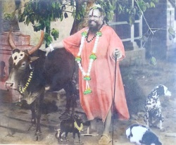 श्री बालमुकुंद बालावधुत दत्त महाराज (करवीर)
