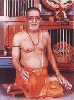 श्री वि. ग. जोशी (दिगंबरदास)