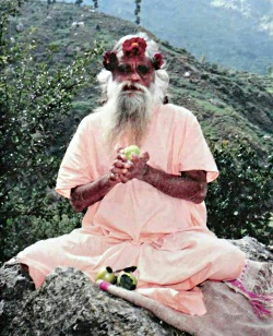 स्वामी गगनगिरी महाराज 