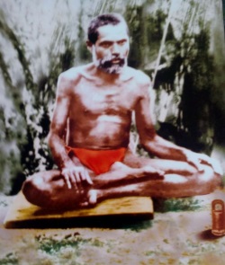 करुणा त्रिपदी 