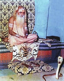 प. पू. पाचलेगावकर महाराज