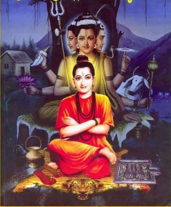 shripad shriwallabh
